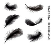 vector illustration of feather