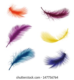 Vector Illustration Of Feather 