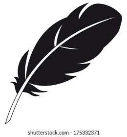 vector illustration of feather