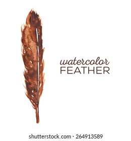 Vector illustration of feather