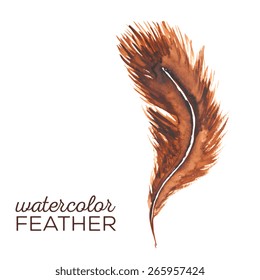 Vector illustration of feather