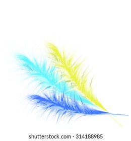 vector illustration of feather