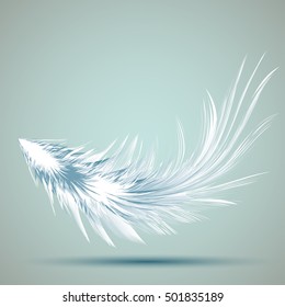 Vector Illustration of Feather