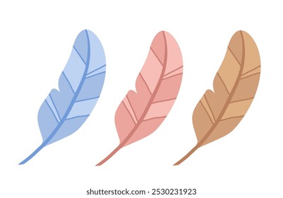 Vector illustration of feather with color variations