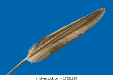 vector illustration of feather on blue background