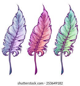 Vector illustration of feather in three colors.