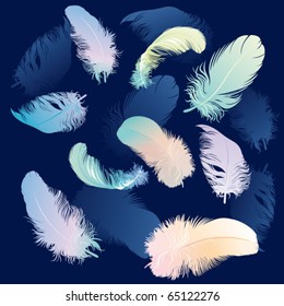 vector illustration of feathers