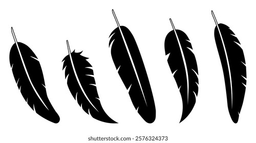 Vector illustration. Feathers of different shapes. Black silhouette. Feather.