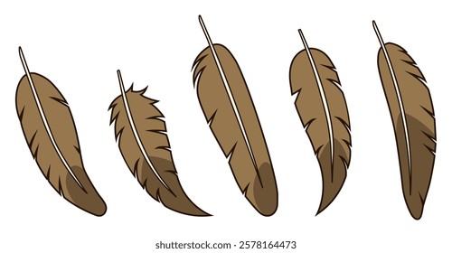 Vector illustration. Feathers of different shapes. Brown feather.