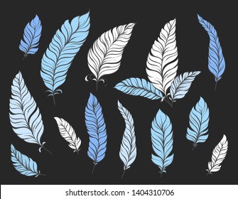 Vector illustration with feathers on black background