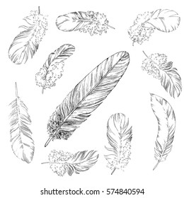 vector illustration feathers  set attributes eps 8 ink pen drawing