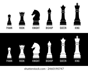 Vector illustration features a complete set of chess pieces in black and white, each meticulously labeled with its name