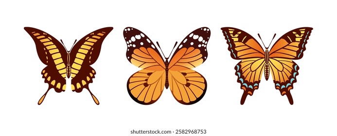 vector illustration features a stunning trio of butterflies the Swallowtail, Papilio thoas, and Danaus plexippus. Each butterfly showcases vibrant colors, perfect for nature themed designs.