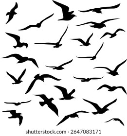 Ilustração vetorial com uma coleção de silhuetas de gaivota preta voando em várias posturas. Cada pássaro é separado e projetado em um estilo minimalista limpo, ideal para decorativo