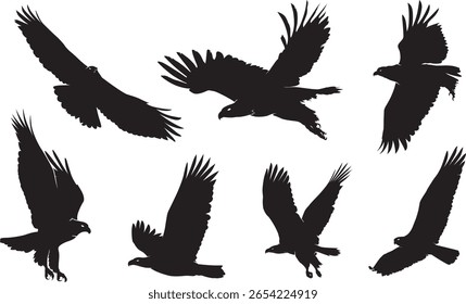 Vector illustration featuring a collection of eagle silhouettes in flight and perched positions. Designed in high contrast black shapes, this set showcases majestic birds of prey in dynamic poses