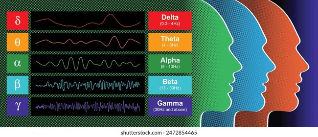 Vector Illustration Featuring Color Frequencies of Brain States, the Influence of Human Brainwave Frequencies on Mood, Behavior, and Health.