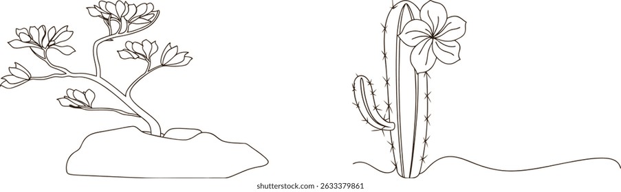 Vector illustration featuring delicate outline drawings of flowering bonsai and a blooming cactus plant.