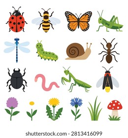 Vector illustration featuring ladybugs