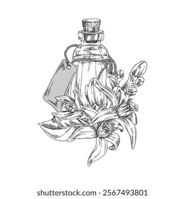 Vector illustration featuring Monochrome bottle with neroli oil and flowers. Sketch of transparent glass container with cork, tag and medicinal ingredients. Healing product.