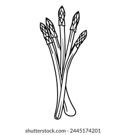 Vector illustration featuring an outline icon of a vibrant asparagus.