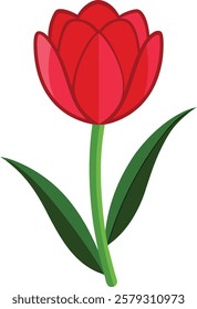 Vector Illustration Featuring Red Tulip Flower