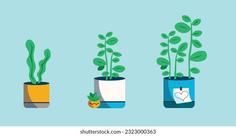 Vector illustration featuring three indoor potted plants with green leaves in decorative pots on blue background, symbolizing home decor, growth, and nature in flat minimalist style