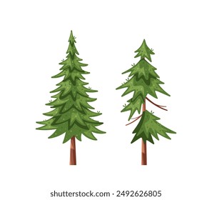 Vector Illustration Featuring Two Cartoon-style Evergreen Coniferous Trees. Image Showcases Detailed Greenery