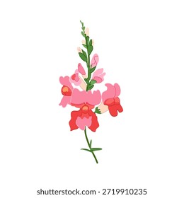 Ilustración vectorial con una vibrante espiga de flor de dragón con flores detalladas en un tallo verde, perfecto para papelería de boda romántica de reliquias y marca de primavera