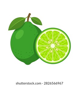 A vector illustration featuring a whole green lime with leaves and a sliced half showing juicy segments isolated on a white background