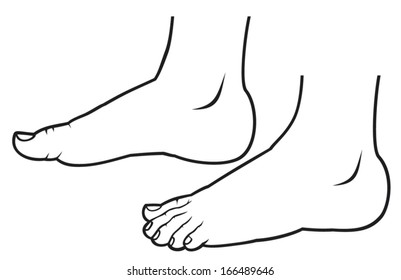 vector illustration of a feet standing 