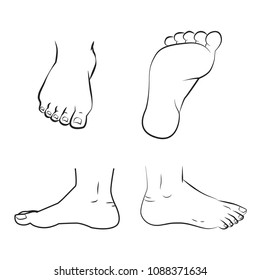 vector illustration of a feet standing. Top, side and bottom