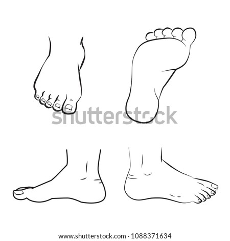 vector illustration of a feet standing. Top, side and bottom