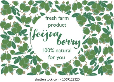 vector illustration of feijoa berry and leaf design with lettering feijoa berry background black and white and berry and text fresh farm product 100% natural for you EPS10