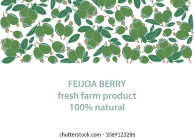 vector illustration of feijoa berry and leaf design background black and white and berry and text fresh farm product 100% natural EPS10
