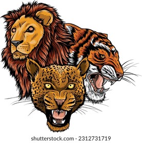 vector illustration of feline head on white background