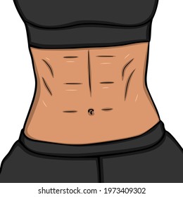 Vector illustration. Female abdominal muscles isolated in comics style on a white background. Sports figure.