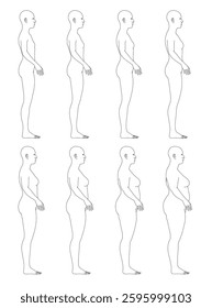 Vector illustration of female body sequence outline from thin to fat. The figures are all standing upright, with their arms outstretched, and they are all of varying sizes and shapes. Side view