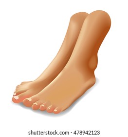 Vector illustration of female feet isolated on white background realistic