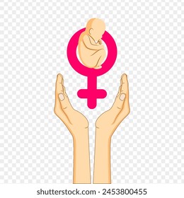 Vector illustration of female foetus with hands on transparent background