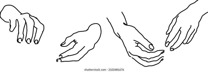 Vector Illustration of Female Hands of Different Gestures.
