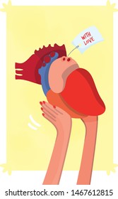 vector illustration of female hands holding a big anatomic hart as gift of love. S.Valentine concept