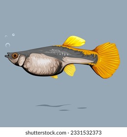 Vector illustration of Female HB Yellow Guppy Fish with simple bubble in front of it isolated on blank background, suitable for your poster, logo, brochure, video motion, or many other.