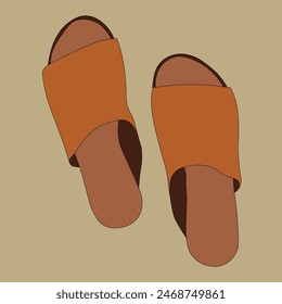 Vector illustration of female sandals