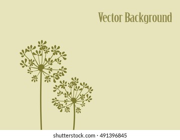 vector illustration of fennel flower background