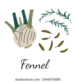 Vector illustration of fennel, seeds, leaves, and stalks of the plant. Perfect for themes of spices, herbs, and culinary uses. Healthy vegan eating, cooking ingredient. Spice packaging design