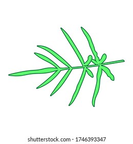 Ilustración vectorial de la hoja de helecho