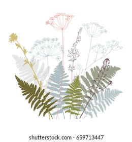 Vector illustration of  with  fern leaves, dill, chicory flowers and shepherd's purse plant .Thin delicate lines hand drawn silhouettes in pastel colors isolated on white background 