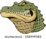 Vector illustration, a ferocious alligator head on a white background.