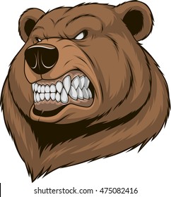 Vector illustration, a ferocious bear head on a white background