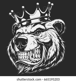 vector illustration, a ferocious bear head on a black background
